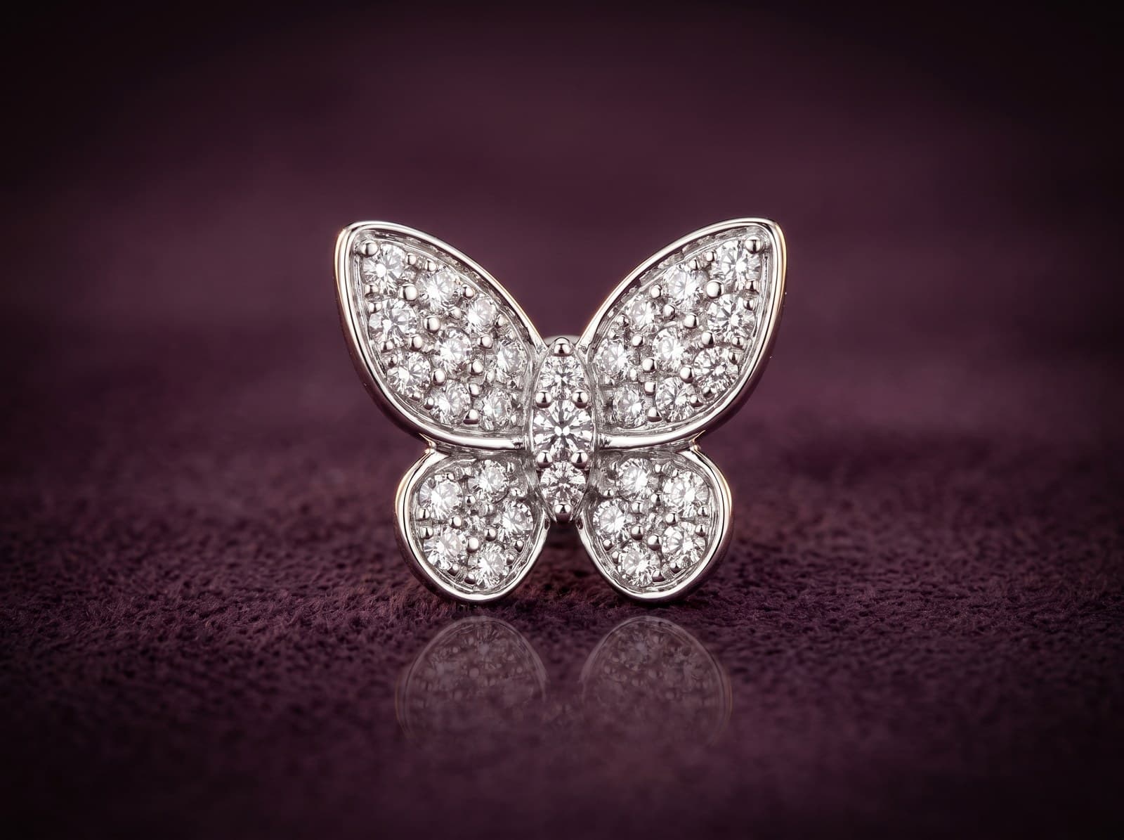 Jamal · Shinny Butterfly Stud Diamond Earring — studio
