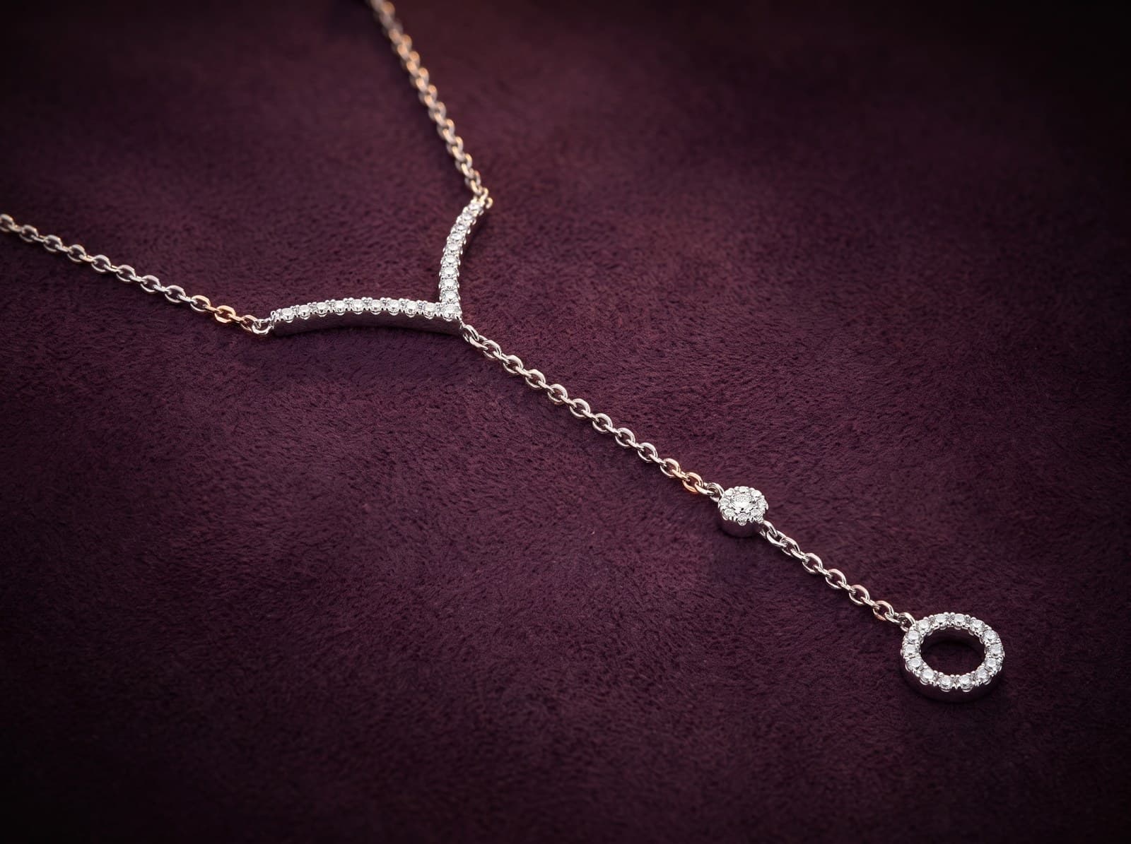 Turfa · Y-Shape With Dropped Circle Diamond Necklace